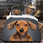 VIMOOR Dachshund Duvet Cover Double Size 3D Dog, Animal Bedding Set with 2 Pillowcases for Kids Boys Girls Teens Soft Microfiber Quilt Cover 3PCs with Zipper Closure Easy Care,winter,200x200