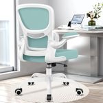 Razzor Office Chair Ergonomic Desk Chair with Lumbar Support, Breathable Mesh Computer Chair with Flip-up Armrests, Rolling Swivel Task Chair for Home Office (MintGreen)