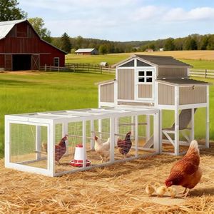 Large Chicken Coop and Run, Wooden Hen House with 4 Sectionable Nesting Boxes, Poultry Duck House for 4-10 Chickens with 5 Perches, Pull-Out Tray and Ramp, Grey