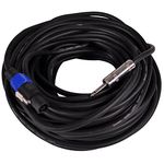 Seismic Audio SASPT12-100 Pro Audio Speakon to 1/4-Inch 12-Gauge 2 Conductor 100-Feet Speaker Cable