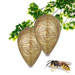 2 PCS Wasp Nest Decoy Hanging Fake Wasp Nest Trap Natural Repellent Reduction Bee and Hornet Deterrent