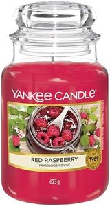 Yankee Red Raspberry Classic Jar Candle, Large