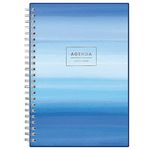 BLUE SKY 2022-2023 Academic Year Weekly & Monthly Planner, 5" x 8", Frosted Flexible Cover, Wirebound, Chanson (128694-A23)