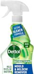 Dettol Mould & Mildew Remover - 500 ml