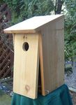 Flicker Bird House Kit by I Can Build It - Attract Flickers to Nest in Your Yard