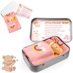 Vibbang Pocket Bear in Tin Box, Pocket Hug Plush Toys, Stuffed Animad Bear Doll, Little Brown Bear, Good Luck Gifts, First Day at School Gift, Inspirational Positive Ornaments Gift for Kids Friend