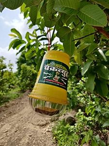 B & B Agro