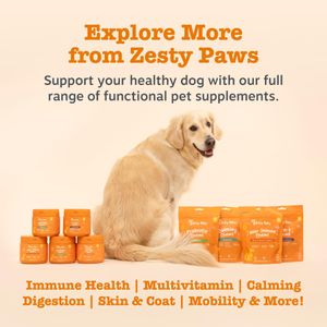 Zesty Paws Probiotics for Dogs – 90 Chews Digestive Supplement