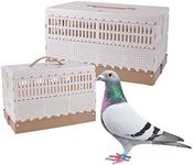 Plastic Folding Pigeon Cage, Portab