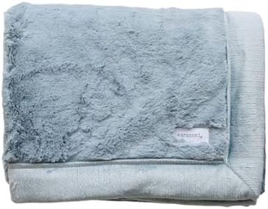 SARANONI Super Soft Comfy Lush 60" x 40" Blanket for Kids and Teens (Slate)