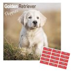 Golden Retriever Puppies Calendar 2025 with Organisational Stickers