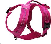 Truelove Dog Harness With Handle Soft Padded Pet Harness Vest,Reflective Material,Adventure Training,Strong Oxford Outer Layer for larger dogs TLH5551 (Fushcia,XS)