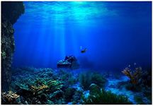 Aquarium Background HD Undersea Coral Reef Photo Wall Paper Aquarium Fish Sea Mural XXL Undersea Underwater World Wall Decoration (91 * 41cm)