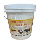 PASHUMANTRA Cal Gold, (20 LTR) Bucket Calcium for Cow, Buffalo, Goat, Sheep, Horse, cat, Dog, Pig, Milk Enhancer for Diary Animals, Vitamins and Minerals, Calcium Veterinary, Chelated Feed Supplement