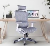 MRC EXECUTIVE CHAIRS ALWAYS INSPIRING MORE Aero Ergonomic High Back Korean Mesh Office Chair |Adjustable Headrest, Lumbar, Pu Armrests, Multi Lock Synchro Mechanism (Aero Mesh Seat, Grey/White)