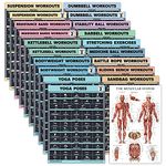 20 Pack - Exercise Poster Set: Dumbbell, Suspension, Battle Rope, Stretching, Bodyweight, Barbell, Yoga, Exercise Ball, Muscular, Kettlebell, Resistance Bands and More [Dark] (LAMINATED, 18” x 24”)