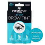 COLORSPORT LONDON 30 DAY BROW TINT, Eyebrow Tint, Eyebrow Dye, Immediate Visible Results, Last for up to 30 days, Dark Brown