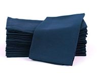 Amour Infini Cotton Napkins | 12 Pack | 45 x 45 cm | 100% Ring Spun Premium Cotton |Dinner Napkins | Highly Absorbent Cloth Napkins | Navy Blue