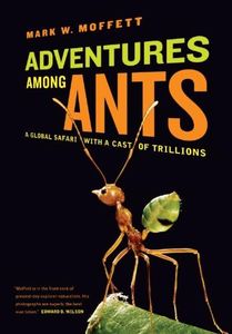 Adventures among Ants: A Global Safari with a Cast of Trillions