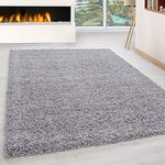 Abaseen Small Large Shaggy Rug Modern Rugs Living Room Extra Large Small Medium Rectangular Size Soft Touch Thick Pile Living Room Area Rugs Non Shedding (Silver, 60x110 cm)