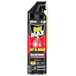 Raid Max Ant and Roach Spray (14.5 