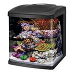 Coralife LED BioCube Aquarium Fish Tank Kit for Saltwater, Marine, Reef or Live Plants, 16 Gallon