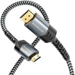 BlueRigger Mini HDMI to HDMI Cable 