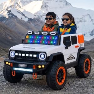 Toyzone Ev
