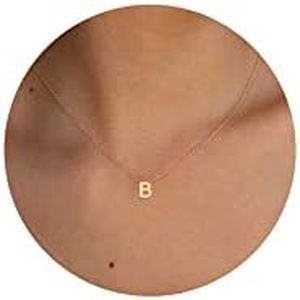 Fwlisesa Initial Necklaces for Women, Dainty Gold Letter Necklace 14k Gold Plated Personalized Tiny Initial Pendant Necklace Monogram Cute Letter Name Choker Necklaces for Women Simple Jewelry