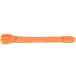 Serious Steel Assisted Pull-Up Band Resistance Stretch Band Powerlifting Bands Pull-up and Band Starter e-Guide INCLUDED Single unit 41-inch T