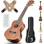 CAHAYA Concert Ukulele Kit Beginner Starter 23 Inch with Gig Bag, Rainbow Strap, Fretboard Stickers, for Both Adults and Kids, Sapele, Model CY0070