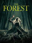 The Forest