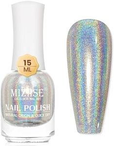 MIZHSE Hol
