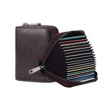 Joyzzz Accordion Card Holder Wallet, 20 Rfid Blocking Accordion Wallet with Zipper, Card Slots Credit Card Holder Wallet, Multiple Credit Card Holder, Leather Small Card Holder for Men Women, Brown,