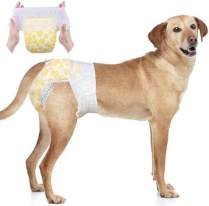 Dono Dog N