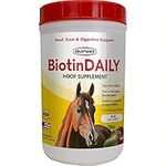 Durvet 01 0027 Biotin Daily Horse H