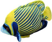 Wild Republic Coral Reef, Emperor Angelfish, Stuffed Animal, 6 inches, Gift for Kids, Plush Toy, Fill is Spun Recycled Water Bottles