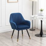 Roundhill Furniture Tuchico Accent, one Chair, Blue