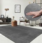 the carpet Relax Rug, Modern, Fluffy, Short Pile, Non-Slip Underside, Washable up to 30°C, Super-Soft, Fur Look, Anthracite, 160 x 220 cm