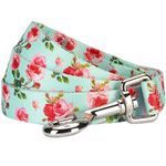 Blueberry Pet New Durable Spring Scent Inspired Floral Rose Print Turquoise Dog Lead 150 cm x 1.5cm, Small, Leads for Dogs, Matching Collar & Harness Available Separately