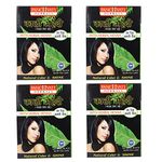 Panchvati Herbals Ayurvedic Mehandi with Herbal Henna ,200g (Pack of 4) 10g each - Black