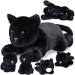 Skylety 5 Pieces Cat Stuffed Animal