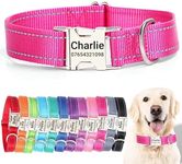 SEOUGEE Personalised Dog Collar wit