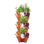 Pots4Nature 6 Tier Stacking Pots For Garden Vertical Flowers Vegetables Strawberries Herbs Plastic Planter Pots For Indoor/Outdoor, Terrace, Balcony, Patio (Terracotta & White) - 37.5 Cm