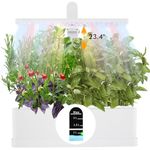 Hydroponic Herb Gardens