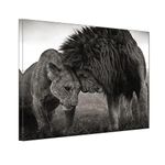 TAOMI Black and White Lion and Lioness Bedroom Living Room Wall Art African Couple Animal King Queen Large Artwork Canvas Painting Print for Office Home Décor Frame 16x24inch