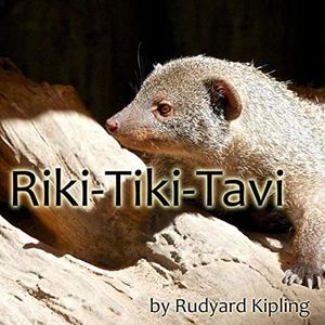Riki-Tiki-