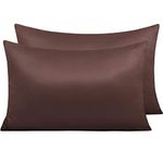 NTBAY 2 Pack Zippered Satin Pillow Cases for Hair and Skin, Luxury Standard Hidden Zipper Pillowcases Set of 2, 50x75 cm, Dark Brown