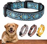 Dog Collars for Small Medium & Large Dogs Stocking Stuffer Long Lasting, Adjustable, Heavy Duty Collars for Girl and Boy Puppy with Quick-Release Plastic Buckle. Blue Dog Collar