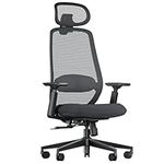 ProtoArc EC200 Ergonomic Office Chair - High Back Computer Desk Chair with 2-Way Adjustable Lumbar Support, Seat Depth & 3D Headrest, Mesh Swivel Desk Chair for Home & Office, Black